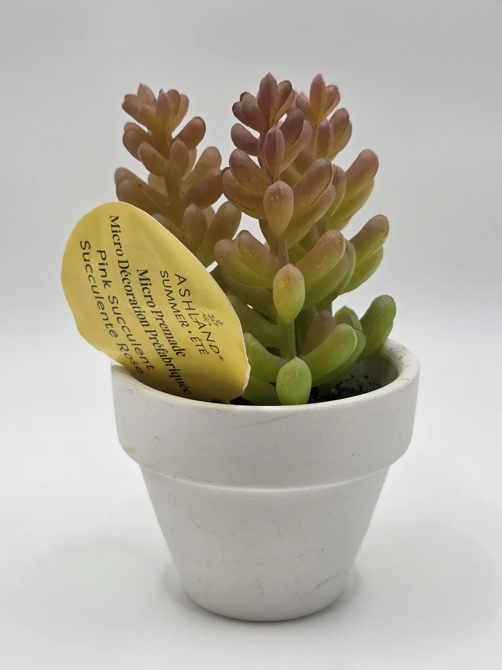 FREE Add-On With $20 Purchase Mini Faux Succulent In Ceramic Pot.